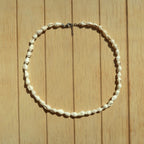 Shell - Necklace