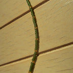 Olive - Necklace