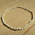 Shell - Necklace