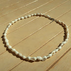 Shell - Necklace