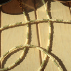 Avocado - Sunglass Strap